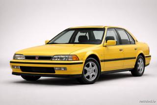 Honda Accord in Phoenix Yellow