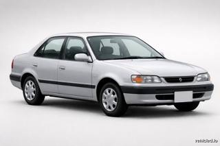 Toyota Corolla in Classic Silver