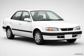 Toyota Corolla in Super White