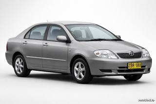 Toyota Corolla in Cement Grey