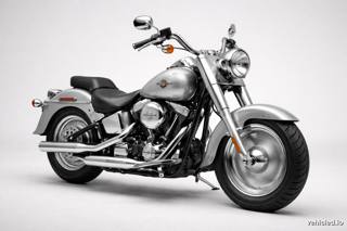 Harley-Davidson Fat Boy in Platinum Silver