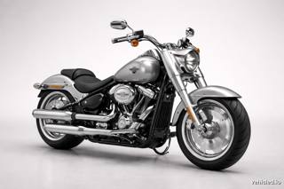 Harley-Davidson Fat Boy in Barracuda Silver