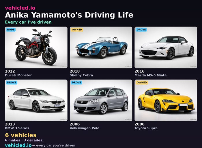 Anika Yamamoto's garage poster