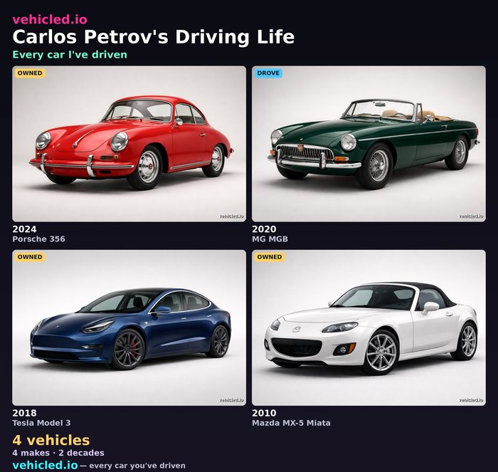 Carlos Petrov's garage poster