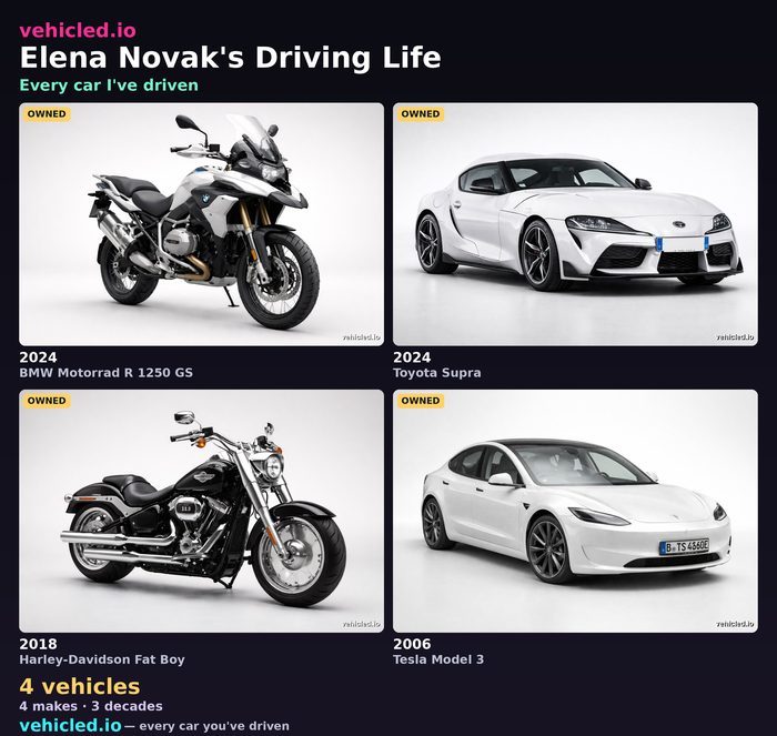 Elena Novak's garage poster