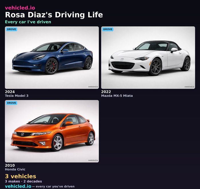 Rosa Diaz's garage poster