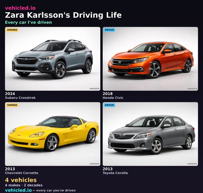 Zara Karlsson's garage poster